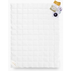 Kołdra BASIC+ letnia puch 70% od AMZ
